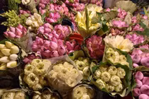 Hoa sen cuối mùa, chị em Hà thành tranh thủ mua về cắm chơi