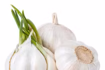 6 loại thực phẩm mọc mầm quý như nhân sâm