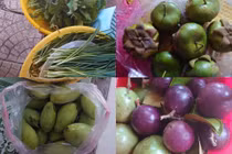 Về quê ngoại ăn Tết, nghe cậu nói một câu mà tôi ấm lòng