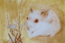 Thần Tài chiếu cố không ngừng, làm đâu thắng đó