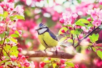 Trước Tết Nguyên đán, 4 con giáp tăng lương, tài khoản nhảy số ầm ầm 