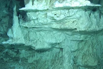 Sinh vật mới từ "thế giới mất tích": Có đồng loại ngoài hành tinh?