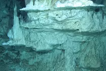 Sinh vật mới từ "thế giới mất tích": Có đồng loại ngoài hành tinh?