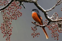 Ai sinh ngày Âm lịch này dám mạo hiểm đầu tư