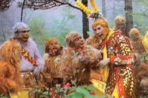 Hoa Quả Sơn của Tôn Ngộ Không có thật sự tồn tại?