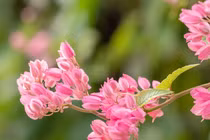 Người sinh 3 tháng Âm lịch này, sự nghiệp hanh thông