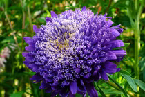 Người có giờ sinh này "ngọa hổ tàng long", ngân khố rủng rỉnh