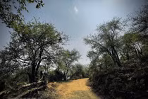 Yên Bái: Khám phá vẻ đẹp hoang sơ của đỉnh Lùng Cúng