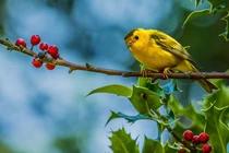 Ai sinh ngày Âm lịch này có trách nhiệm với gia đình, phúc khí dồi dào