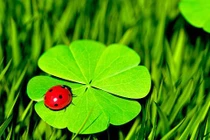 Tháng sinh Âm lịch của người trung thành với bạn bè