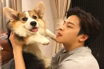 Chồng mua canxi tiền triệu cho chó, con suy dinh dưỡng thì mặc kệ