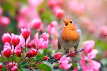 Sinh tháng Âm lịch này “chạm nút” là bùng nổ tài năng, kiếm tiền đỉnh