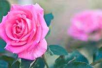 Người sinh ngày Âm lịch này sống khiêm nhường, nhiều phúc lộc