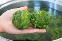 Loại rau mọc hoang vị khó nuốt nhưng chế biến cách này ngon bổ