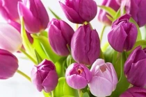 3 con giáp dũng cảm đối mặt thử thách, cuối tháng 4 hốt bạc