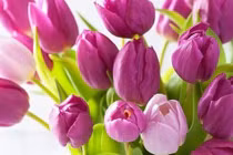 3 con giáp dũng cảm đối mặt thử thách, cuối tháng 4 hốt bạc