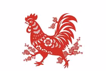 Tử vi tuổi Dậu 2023 chi tiết từng năm sinh