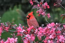 Ai sinh 3 tháng Âm lịch này nhân cách dễ mến, dễ hái thành công 