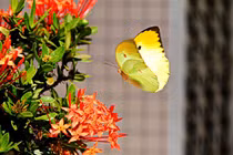 Người sinh vào 4 ngày Âm lịch này được quý nhân bao bọc