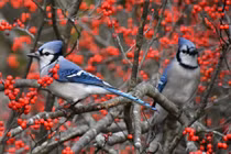 Sinh trúng tháng Âm này, tài lộc bám gót không rời, giàu khủng năm 2022