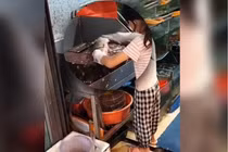 Bé gái Trung Quốc 9 tuổi đánh vảy cá điêu luyện