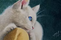 Chuột sa chĩnh gạo: 4 tuổi tháng 11 giàu sụ, tháng 12 đón Tết to