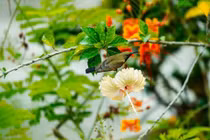 Người sinh vào ngày Âm lịch này có dũng khí kiếm tiền, ngày càng phát đạt