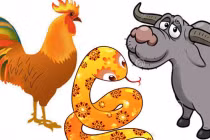 Người sinh những năm này, từ 1/4 trở đi hết khổ, đổi đời đại gia 