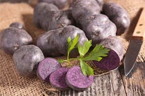 Lợi ích tuyệt vời của khoai tây tím