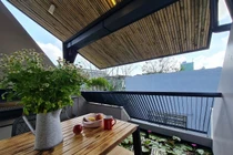 'Ao' nuôi cá, trồng hoa súng trên sân thượng ngôi nhà phố