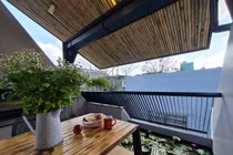 'Ao' nuôi cá, trồng hoa súng trên sân thượng ngôi nhà phố