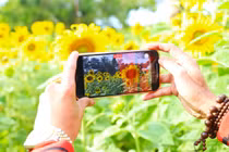 Cả thế giới hoa khoe sắc ở Đà Lạt, Lâm Đồng