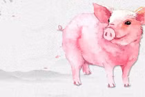 4 tuổi là con cưng Thần Tài, phất lên vun vút nửa đầu 2023