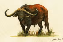 3 con giáp nữ vượng phu ích tử, là 'két sắt' của gia đình