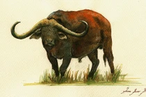 3 con giáp nữ vượng phu ích tử, là 'két sắt' của gia đình