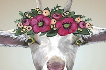 Top 3 con giáp đi đến đâu hút 'vệ tinh' đến đó, tình duyên nở rộ