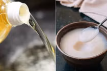 Dùng mỡ lợn hay dầu ăn mới tốt cho sức khỏe? 