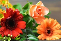 Tuần mới 9/5-15/5/2022: 3 con giáp lộc đến tận cửa, ngửa tay hứng tiền 