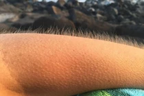 10 điều thường gặp trong cuộc sống ai cũng thắc mắc nhưng lười tra Google 