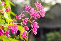 Mùa thu này, 3 con giáp này đời thật sự lên hương, hái bộn tiền