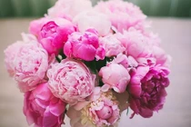 Người sinh vào 3 tháng Âm lịch này tư duy nhạy bén