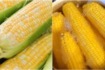 Hai điều cấm kỵ khi ăn ngô luộc, điều thứ nhất ai cũng mắc 