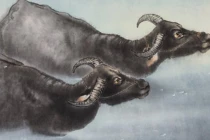 Hết khổ rồi, 3 con giáp tiền về như vũ bão trong 10 ngày tới