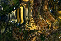 Ngắm tuyệt tác được tạo bởi thiên nhiên, con người ở Mù Cang Chải