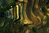 Ngắm tuyệt tác được tạo bởi thiên nhiên, con người ở Mù Cang Chải