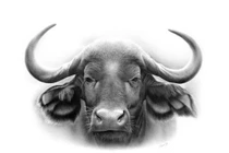 3 con giáp cực xui tuần mới (29/8-4/9): Vừa nghèo vừa thất bại 