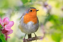 Ai sinh ngày Âm lịch này dũng cảm dấn thân, thành công đến sớm