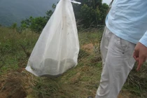 Rắn lũ lượt kéo đến khiến dân làng hoảng sợ, lý do kinh ngạc