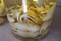 12 loại đồ uống kinh dị, người can đảm mới dám uống