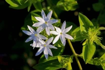 Từ giờ đến cuối 2022, 3 con giáp có thể chuyển bại thành thắng